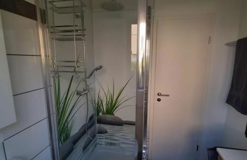 Am Badischen Weinberg - Foto 4