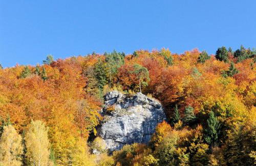 FeWo Die Dittrichs - Photo 13