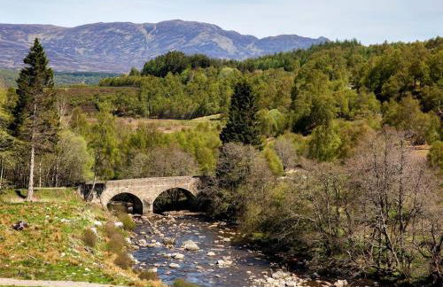 Spectacular Mountain View Ecopod - Foto 15