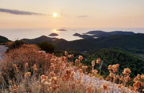 Apartman Portorus - Foto 23