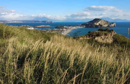 Casa Pica - Photo 56