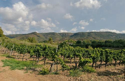 Casa di campagna 'Sa Vinzedda' - Foto 37