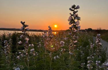 Küstenblau - Foto 13