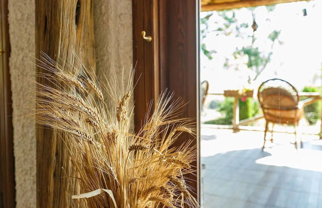 Lake Sapanca Breathtaking Private Villa Retreat - Foto 35