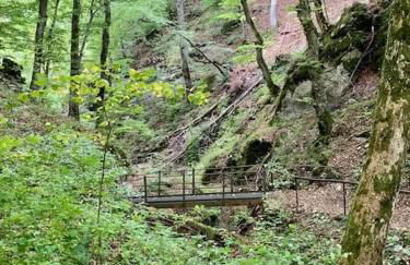 Ferienwohnung Albliebe - Foto 19