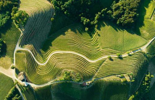 Razgledna Oaza-VIEW OASIS,Holiday Home on Mađerka Hill - Foto 28