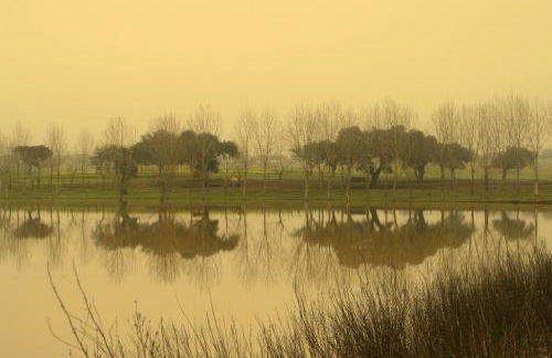 Monte da Boavista - Country family house - Foto 70