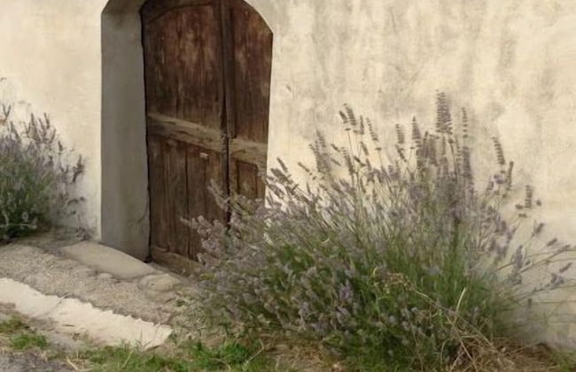 Agriturismo Cà Trinchè - Photo 26