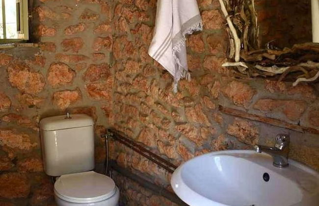 Cocoon Tent in an Olive Grove - Photo 8