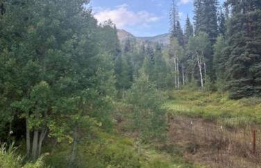 Peaceful 4-BR Retreat Near Ruedi Reservoir - Foto 38