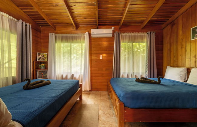 Esquipulas Rainforest - Foto 11