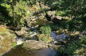 Villa Barka - Foto 54