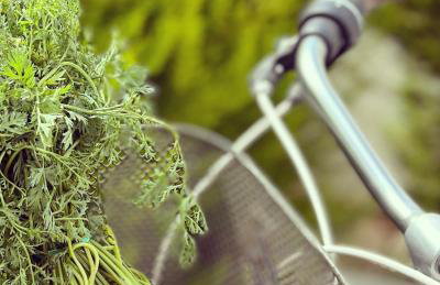 Luxury Villa4you - Foto 57