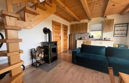 Biesiedlisko Bieszczadzkie - Foto 9