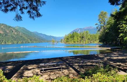 Fireside Escape at Lake Cushman - Photo 22
