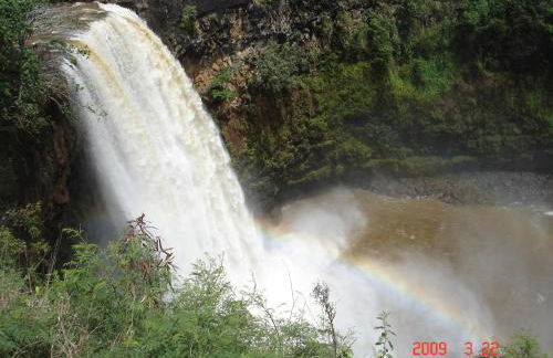 Islander on the Beach Unit 244 - Foto 18