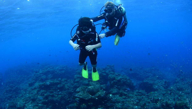 Immersione per principianti a Fernando de Noronha