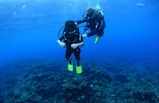 Baptême de plongée à Fernando de Noronha - Photo 2