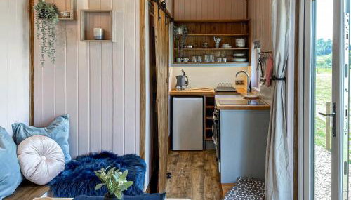 Forget-Me-Not - Uk37646 - Foto 3