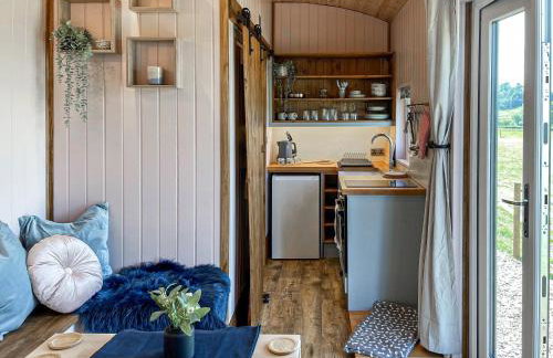 Forget-Me-Not - Uk37646 - Foto 3