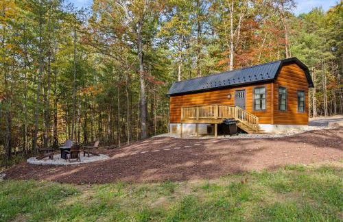 Cozy Family Luray Cabin w Fire Pit Grill WiFi & More - Photo 1