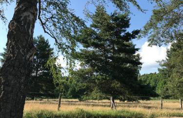 Forsthaus Zartwitzer Hütte - Foto 13