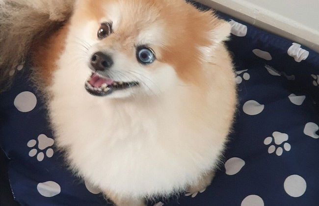 Recanto Maravista - Photo 38