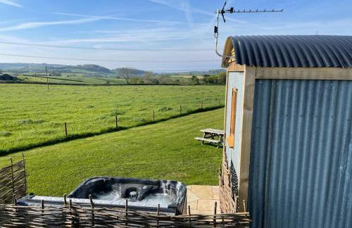Honey Bee - Comfortable luxury shepherds hut with hot tub - Foto 3