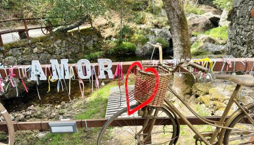 Moinho de Brião - Foto 3