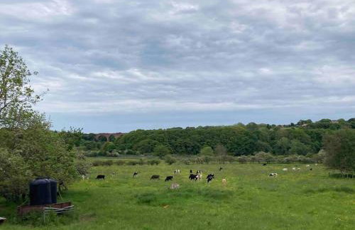 Dovedale House - Foto 37