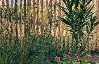 Calme et confort, charmante longère bretonne - Foto 19