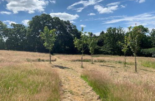 The Coach House - Photo 24