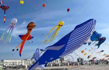 Belle maison berckoise rénovée - LM la plage - Foto 27