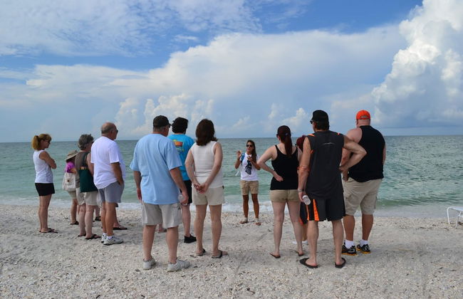 Island Inn - Photo 19