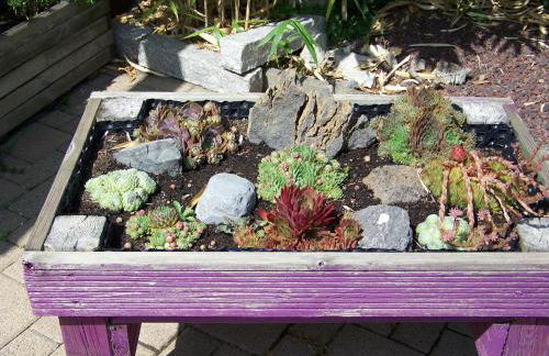 C' 1 comble - Foto 33