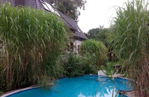 Kunsthaus Kurgan - Foto 37