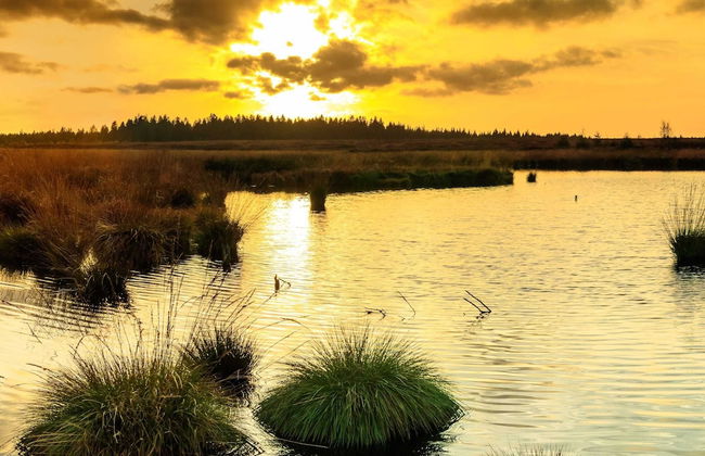 Spacious Stay With Terrace - Photo 31