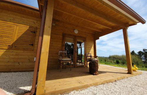 Quinta dos Mangues - Foto 37