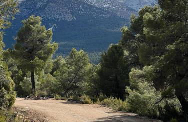 Vakantiehuis Casa de Musica - Photo 48