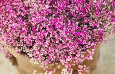 VILLA THEIA - SELENE , appartement de charme pour 4 à 6 personnes prés de la plage et du village de Koufonissi - Foto 40