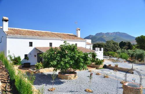 Cortijo Los Santeros - Foto 27