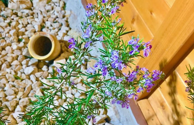 Sole Mare E Relax for Dream Holidays in Siculiana - Foto 25