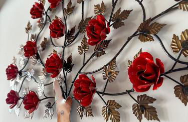 Casa Dos Papagaios - Foto 49