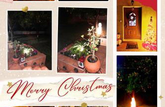 Pelion Malaki- Casa Verde - Foto 15