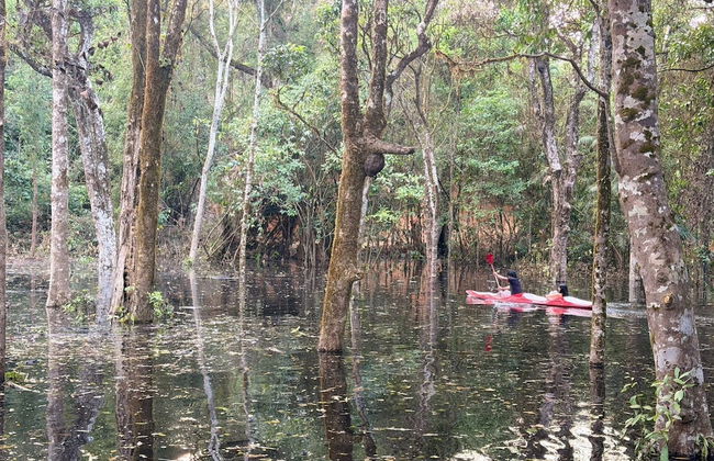 Coorg Tree House - Foto 29