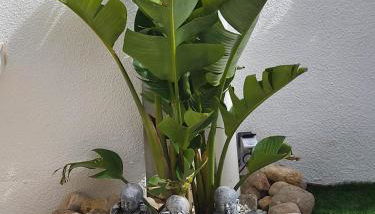 Casa Alegria - Foto 5