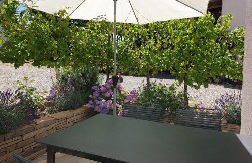 Zur alten Rebe Ferienhaus und Weingut - Foto 17