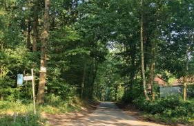 Wunderschöne Wohnung im Grünen - Foto 13