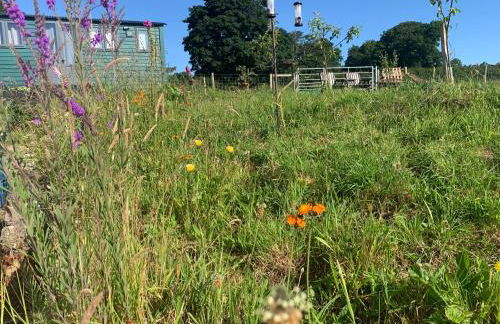 Shepherds Hut With Hot Tub, North Wales, Anglesey - Foto 17
