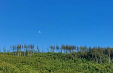 Apartamenty u Joli - Foto 23